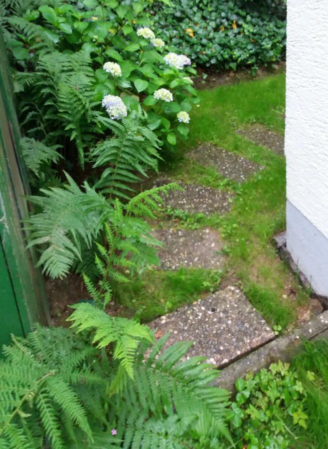 Ferienhaus Baederleiblick Bad Ems Εξωτερικό φωτογραφία