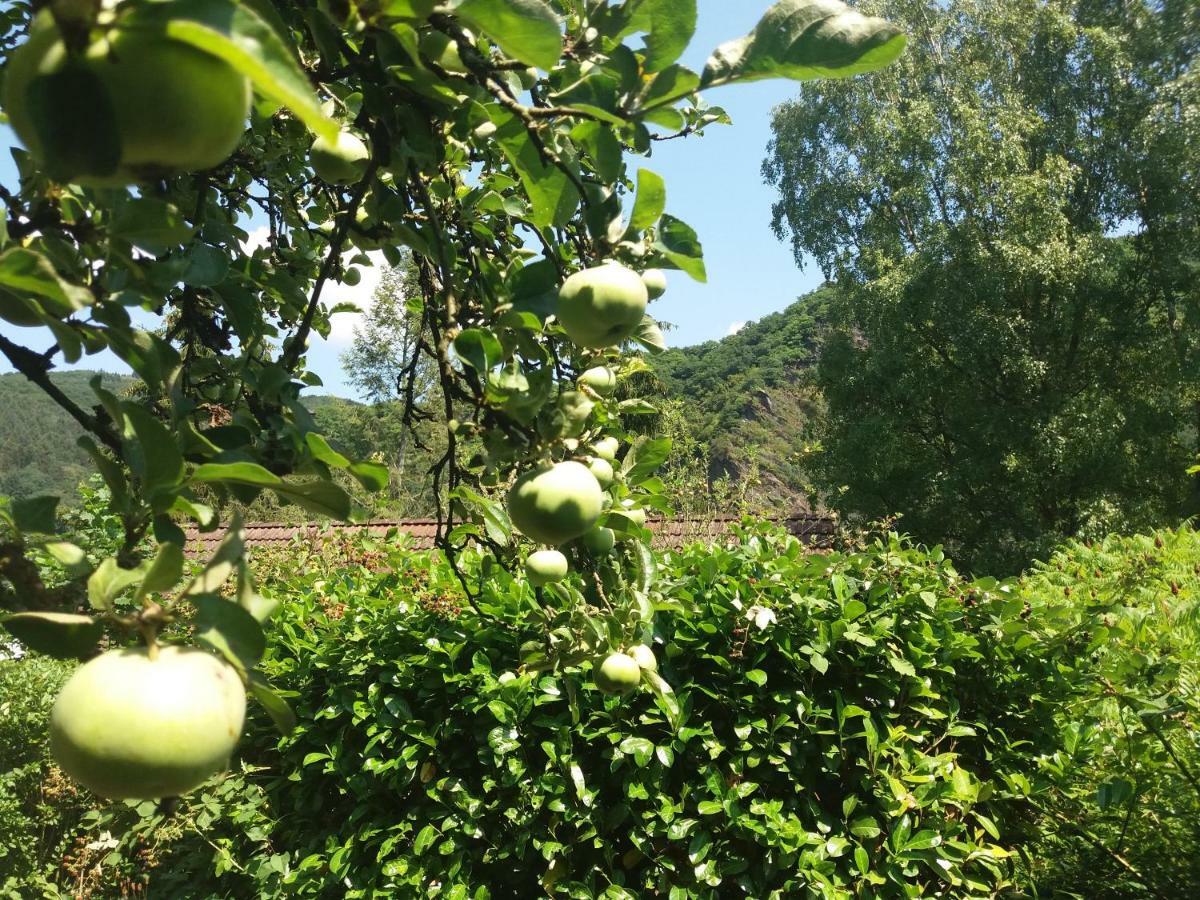 Ferienhaus Baederleiblick Bad Ems Εξωτερικό φωτογραφία